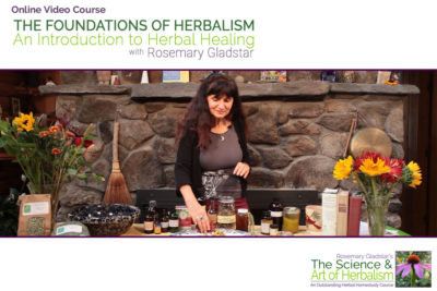 Welcome to The Science & Art of Herbalism 7 The Foundations of Herbalism Online Video Series