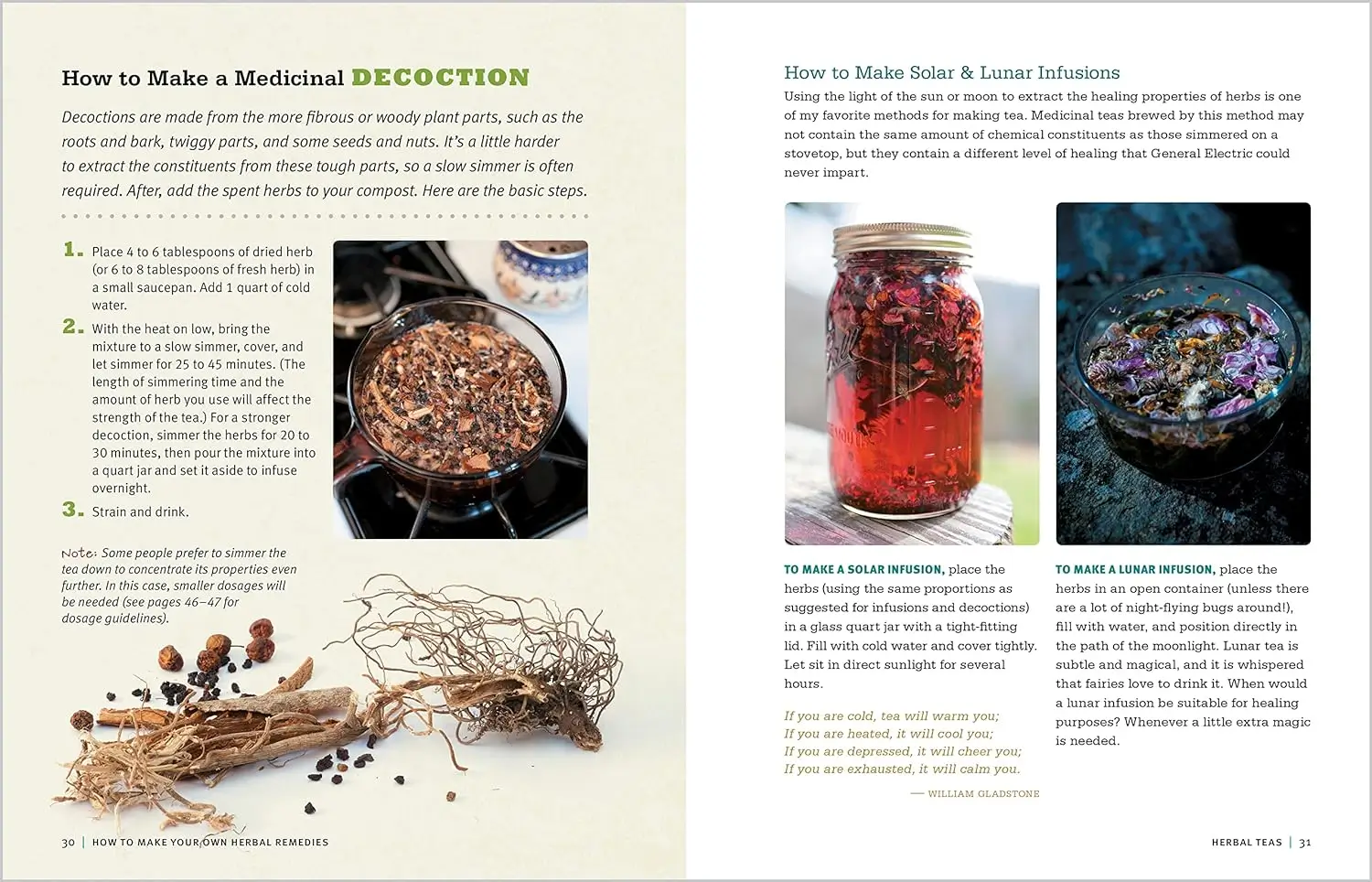 Rosemary Gladstar's Medicinal Herbs: A Beginner's Guide 2 Rosemary Gladstar's Medicinal Herbs - A Peek Inside 2
