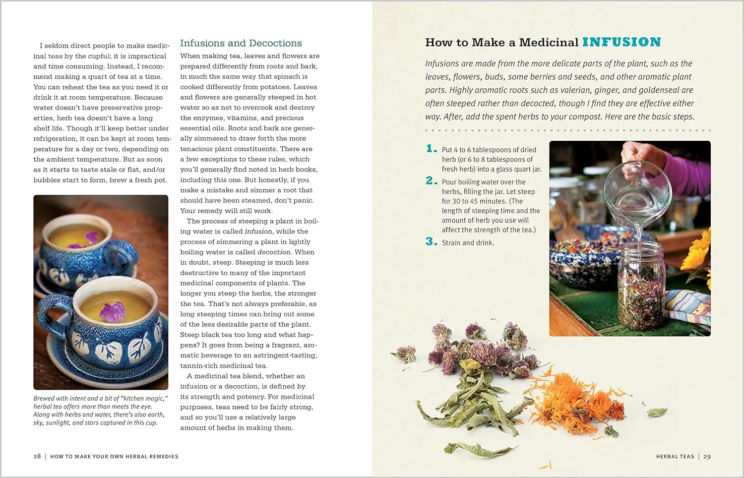 Rosemary Gladstar's Medicinal Herbs: A Beginner's Guide 3 Rosemary Gladstar's Medicinal Herbs - A Peek Inside 1