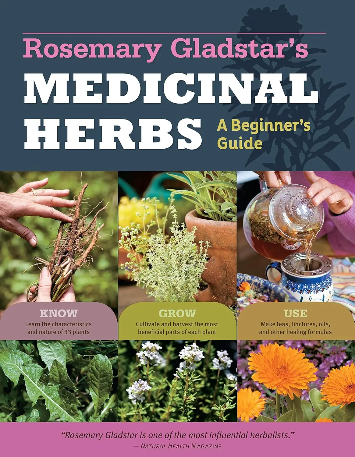Rosemary Gladstar's Medicinal Herbs: A Beginner's Guide 1 Rosemary Gladstar's Medicinal Herbs: A Beginner's Guide
