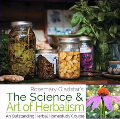 Sample Lesson One : The "Classic" Printed Course