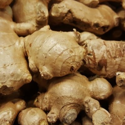 ginger small square plant profile
