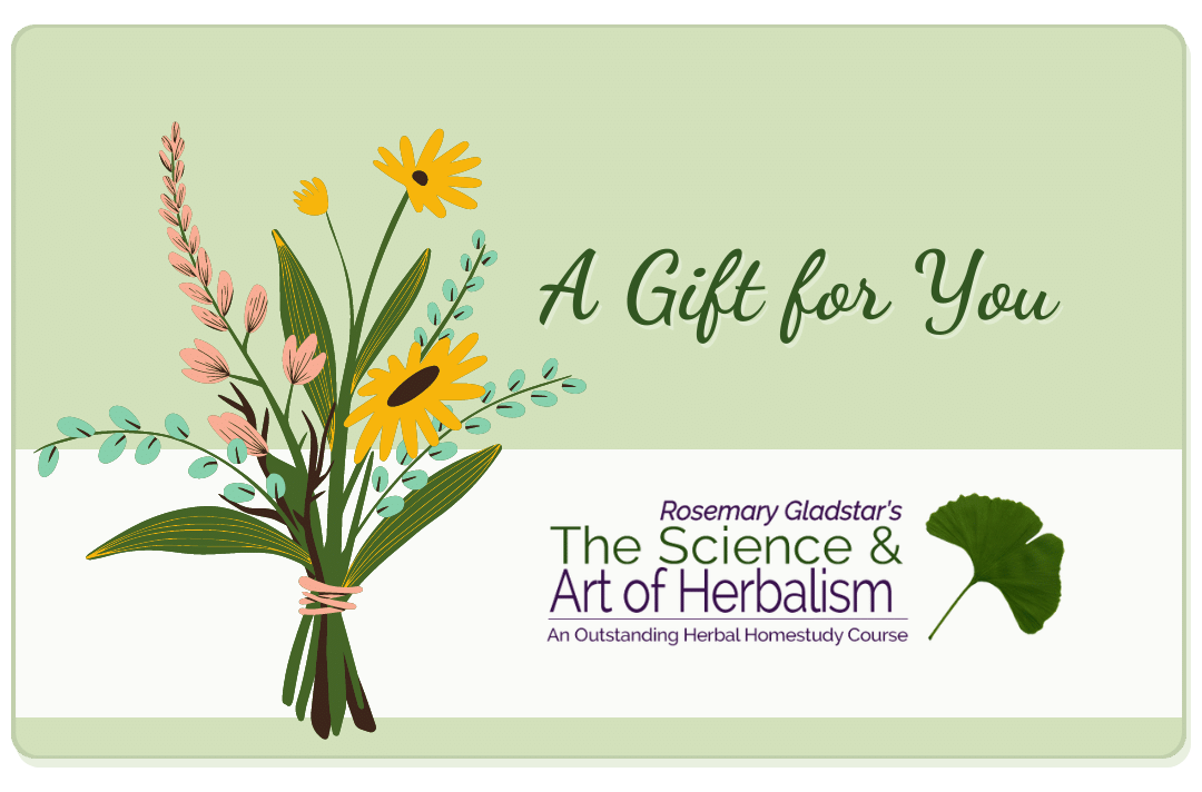 eGift Card 1 eGift Card
