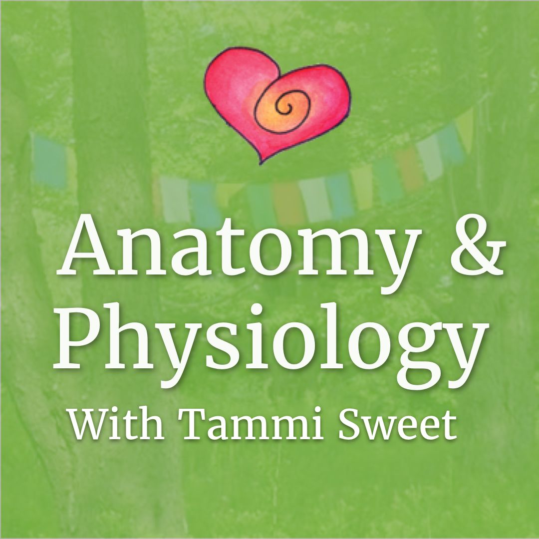 Tammi Sweet's Online Anatomy & Physiology: An Herbalist's Guide to the Human Body 1 Tammi Sweet's Online Anatomy & Physiology: An Herbalist's Guide to the Human Body