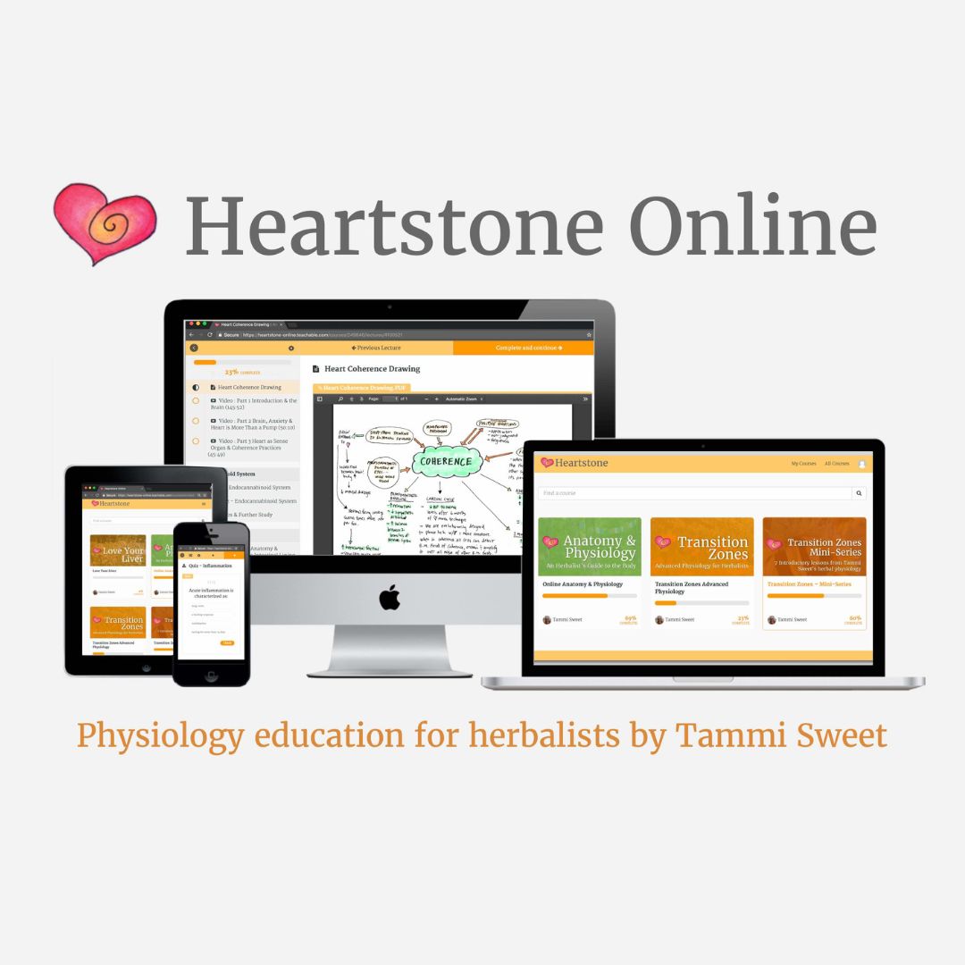 Tammi Sweet's Online Anatomy & Physiology: An Herbalist's Guide to the Human Body 2 Tammi Sweet's Online Anatomy & Physiology: An Herbalist's Guide to the Human Body - Image 2