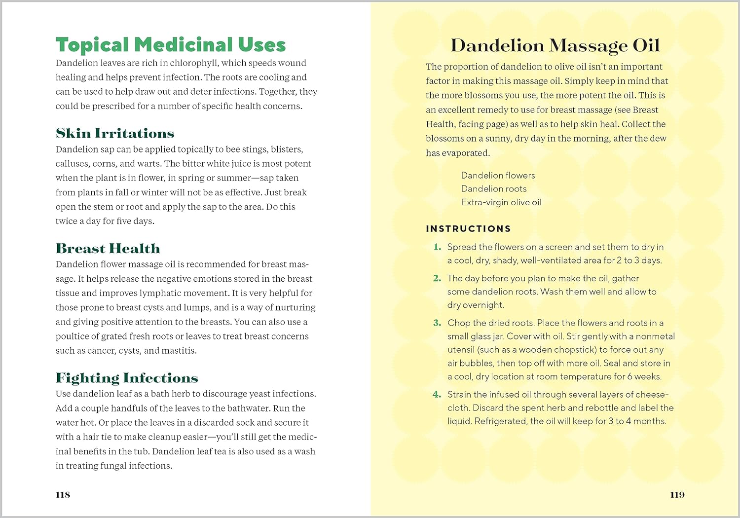 Dandelion Medicine: Forage, Feast, and Nourish Yourself with This Extraordinary Weed, 2nd Edition 4 Dandelion Medicine: Forage, Feast, and Nourish Yourself with This Extraordinary Weed, 2nd Edition - Image 4