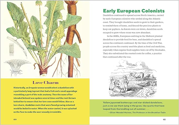 Dandelion Medicine: Forage, Feast, and Nourish Yourself with This Extraordinary Weed, 2nd Edition 2 Dandelion Medicine: Forage, Feast, and Nourish Yourself with This Extraordinary Weed, 2nd Edition - Image 2
