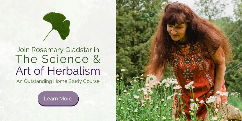 The Science & Art of Herbalism - blog banner