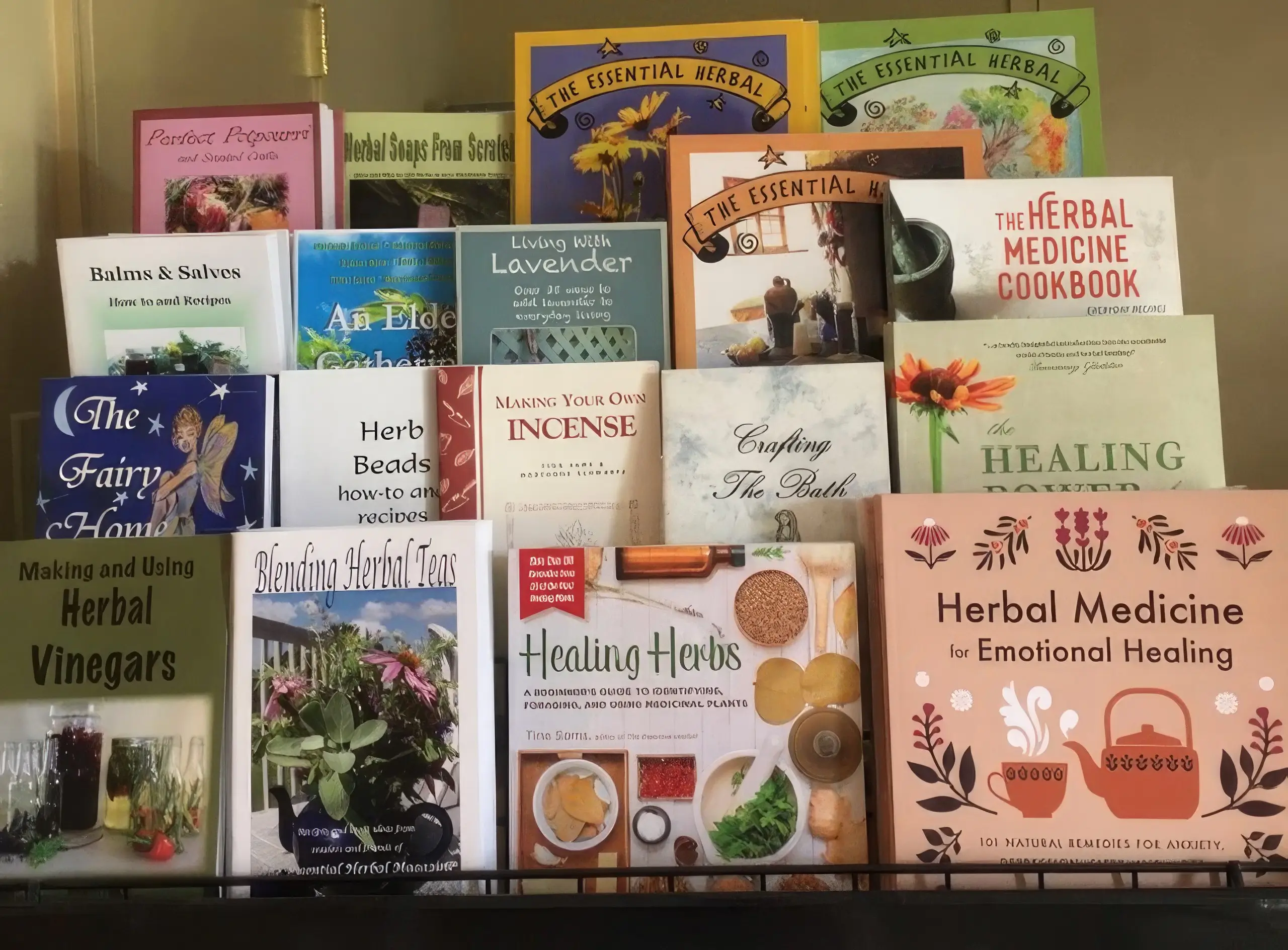 Books by Tina Sams