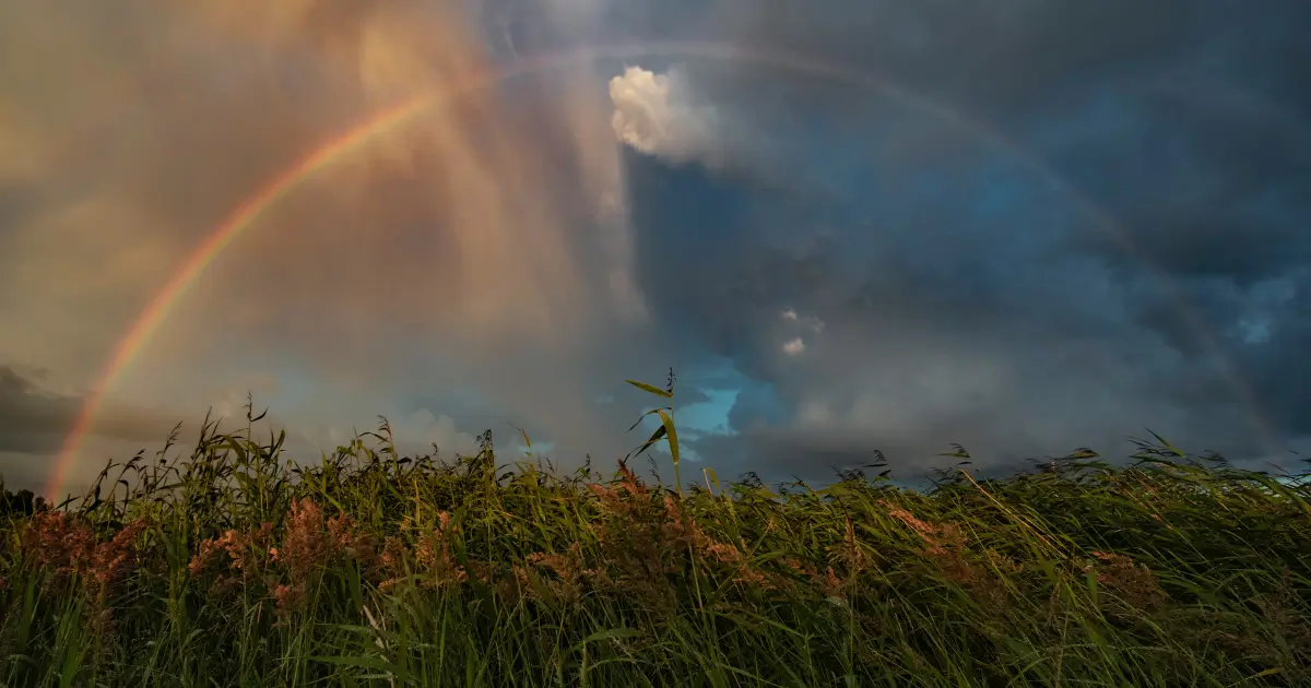 Welcome to The Science & Art of Herbalism 26 Rainbow against stormy skies