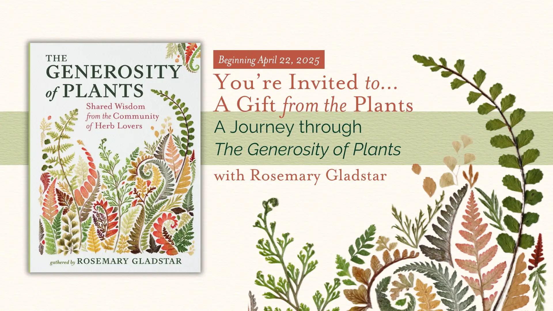 Gift from the plant email journey 1