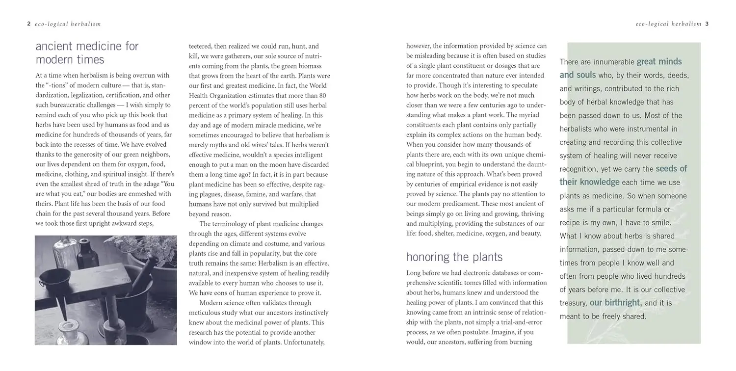 Rosemary Gladstar's Herbal Recipes for Vibrant Health 3 Rosemary Gladstar's Herbal Recipes for Vibrant Health - Image 3