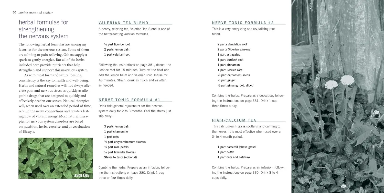 Rosemary Gladstar's Herbal Recipes for Vibrant Health 4 Rosemary Gladstar's Herbal Recipes for Vibrant Health - Image 4