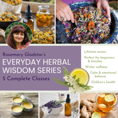 Welcome to The Science & Art of Herbalism 10 Rosemary Gladstar’s Everyday Herbal Wisdom Series