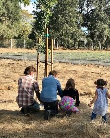 Celebration of Life 4 Planting gongko in honor of Jason and Andew